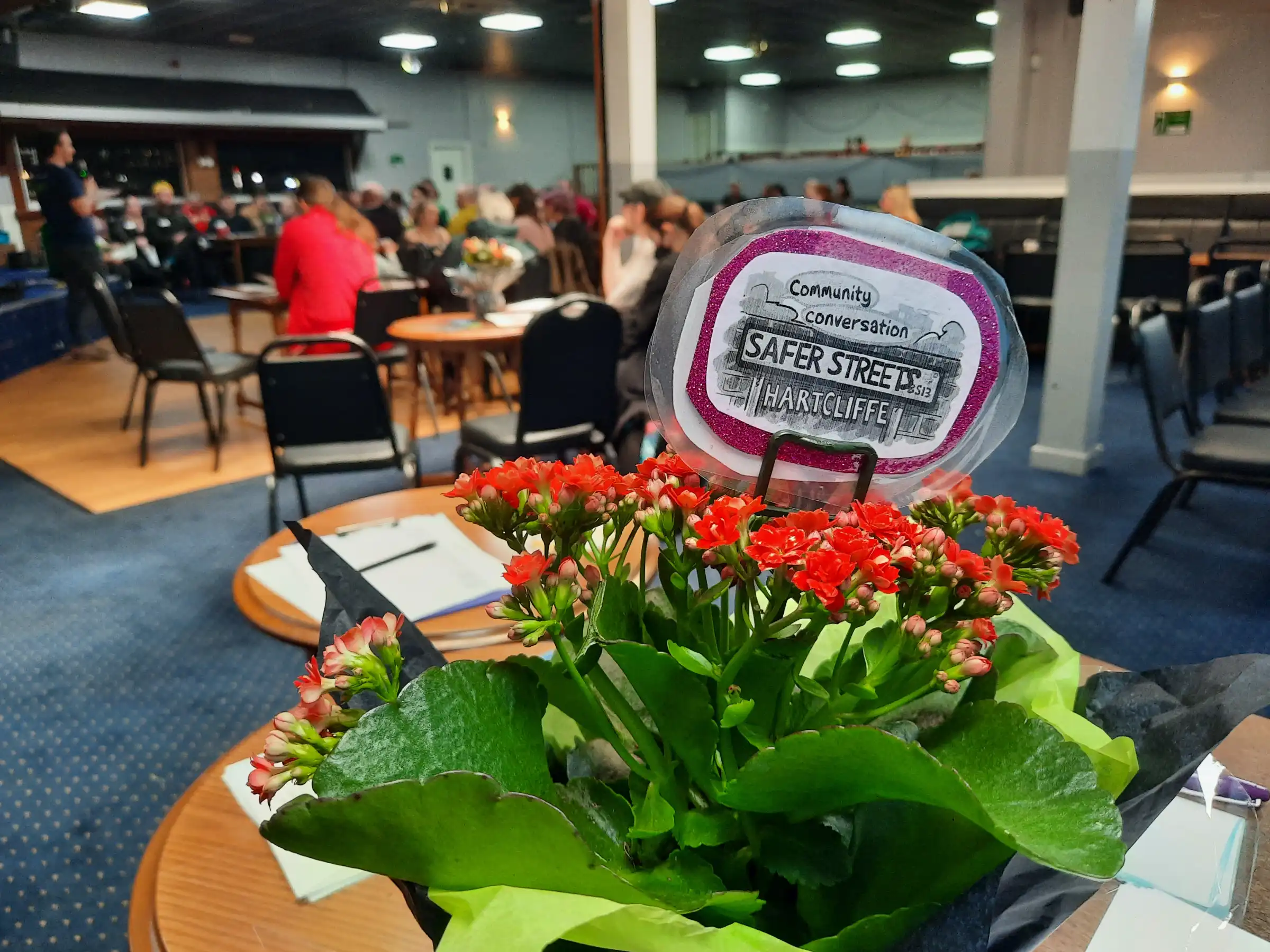 Close-up of a potted plant, in the background Hartcliffe Coderz presenting their Web Development summer camp to residents